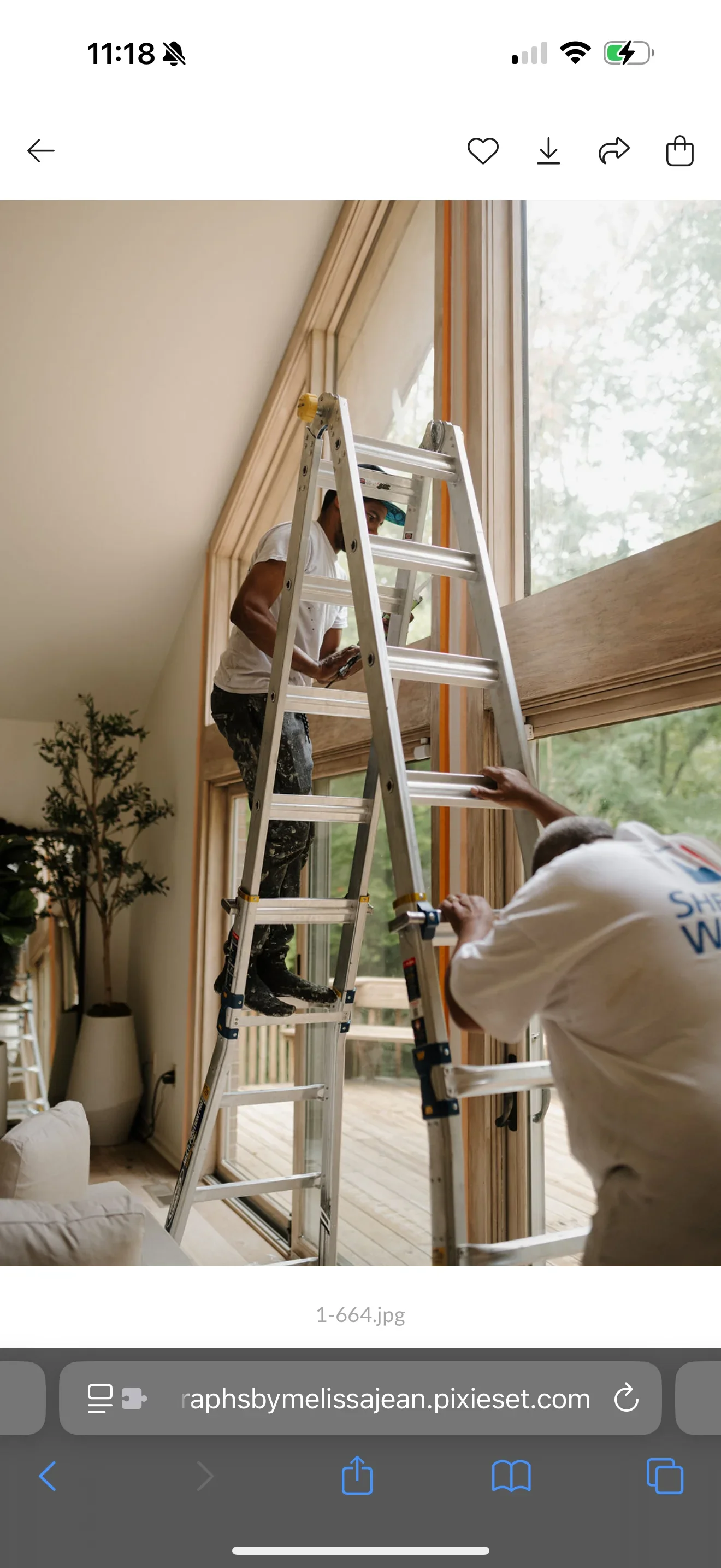 Worker on ladder installing tan drapery panels on large interior window with wood trim